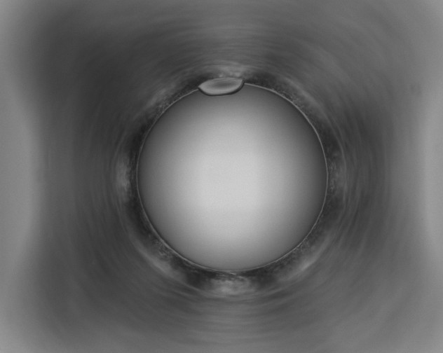 X0000112940215200908311455