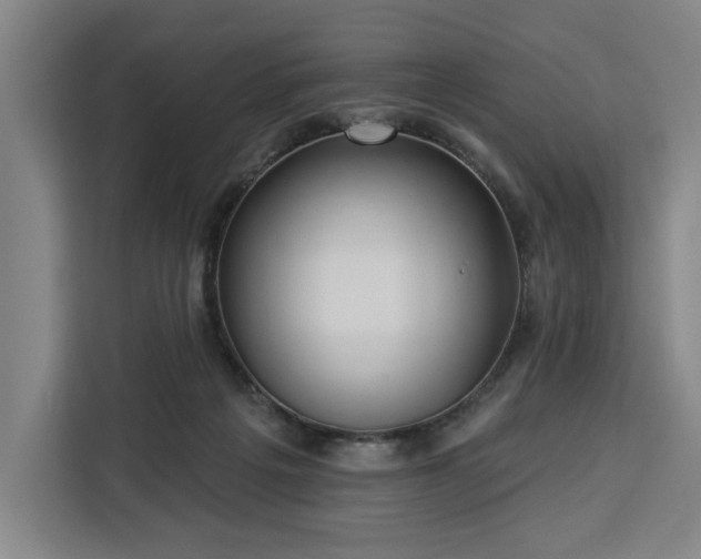 X0000112940217200908311455