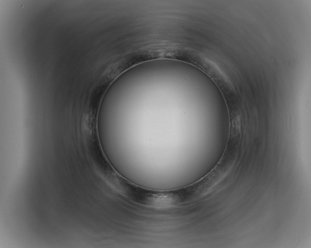 X0000112940218200908311455