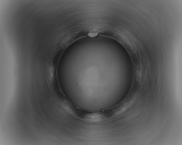 X0000112940219200908311455