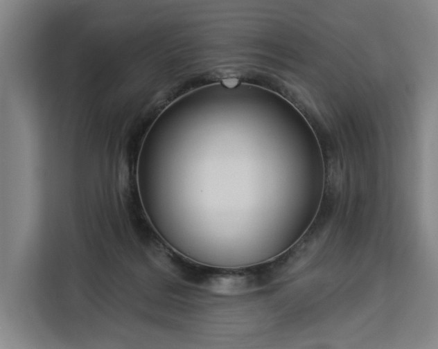 X0000112940220200908311455