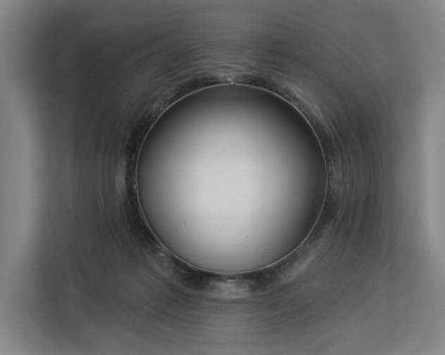 X0000112940221200908311455