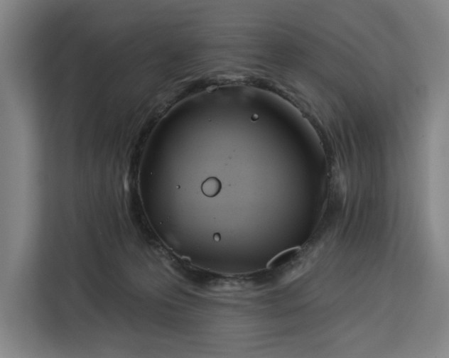 X0000112940223200908311455