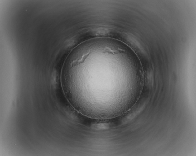 X0000112940228200908311455