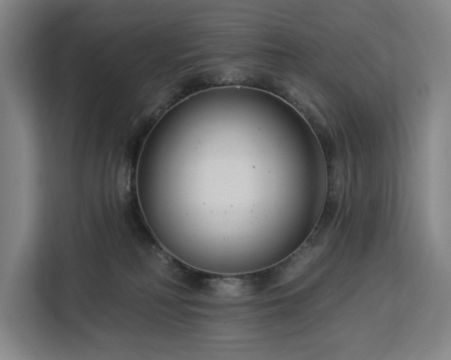 X0000112940230200908311455