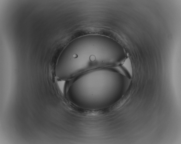 X0000112940235200908311455