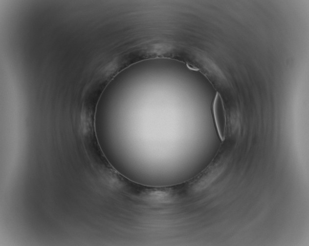 X0000112940236200908311455