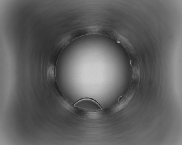 X0000112940238200908311455