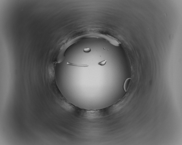 X0000112940240200908311455