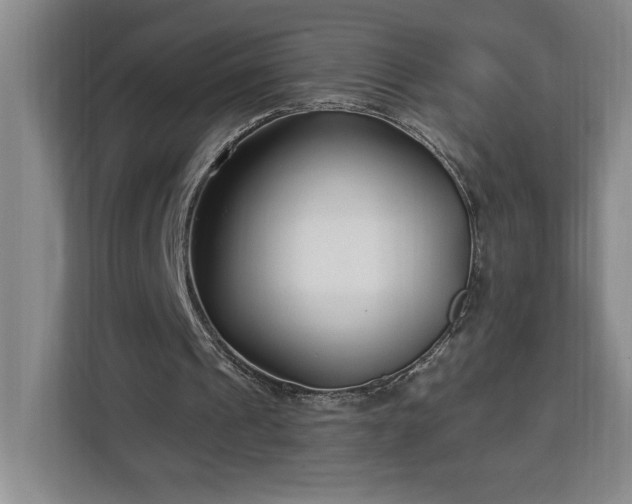 X0000112940241200908311455