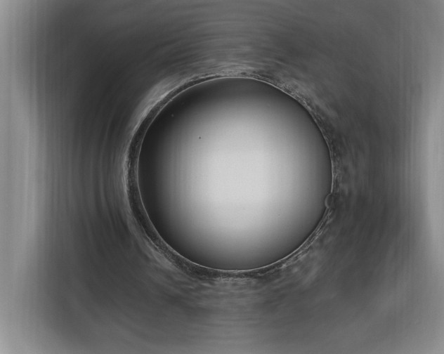 X0000112940242200908311455