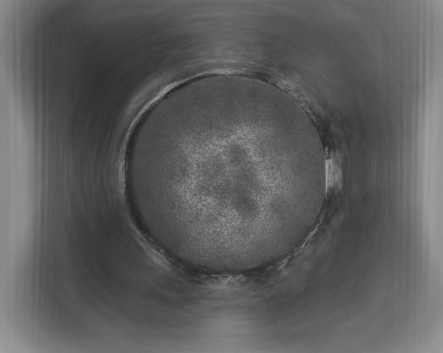 X0000112940243200908311455