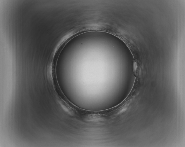 X0000112940244200908311455