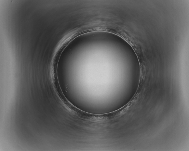 X0000112940245200908311455