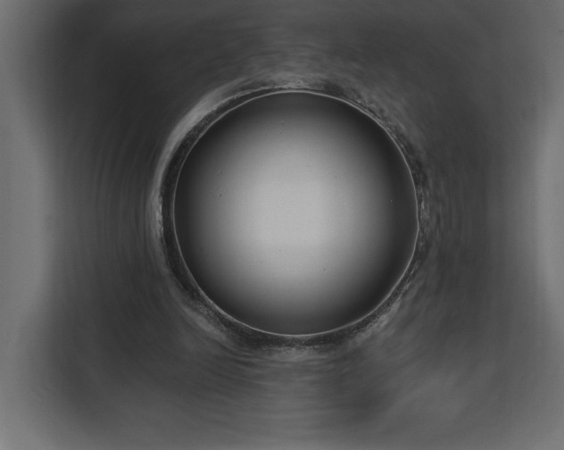 X0000112940246200908311455