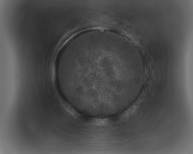 X0000112940247200908311455