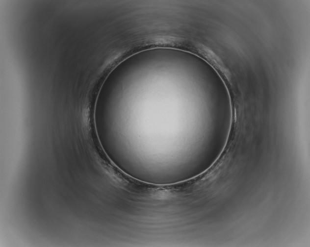 X0000112940249200908311455