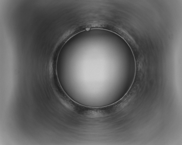 X0000112940250200908311455