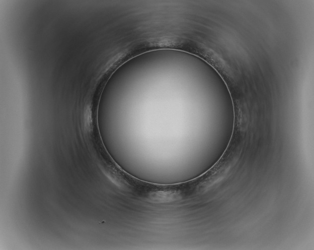 X0000112940251200908311455