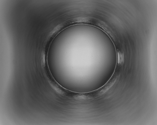 X0000112940253200908311455