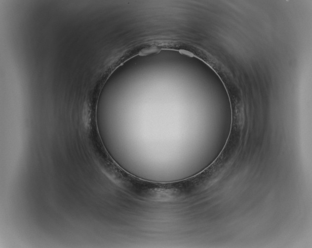 X0000112940255200908311455