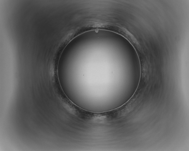 X0000112940257200908311455