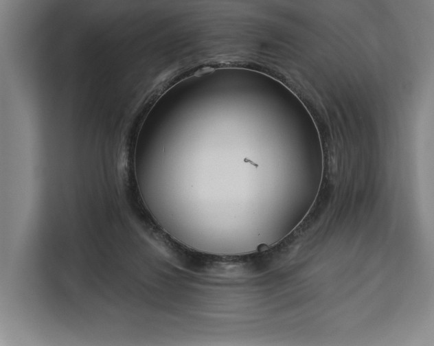 X0000112940260200908311455