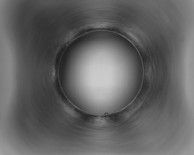 X0000112940261200908311455