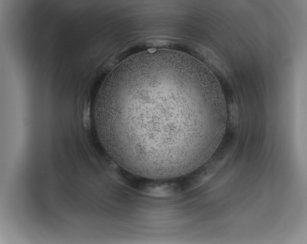 X0000112940267200908311455