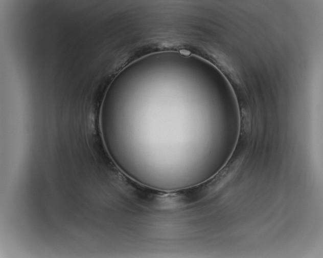 X0000112940269200908311455