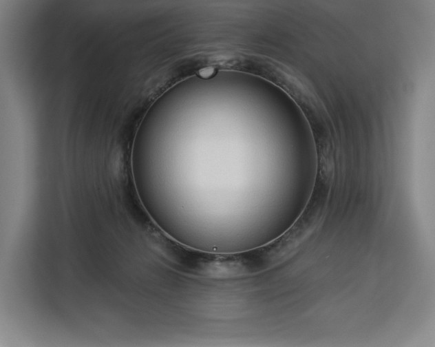 X0000112940270200908311455