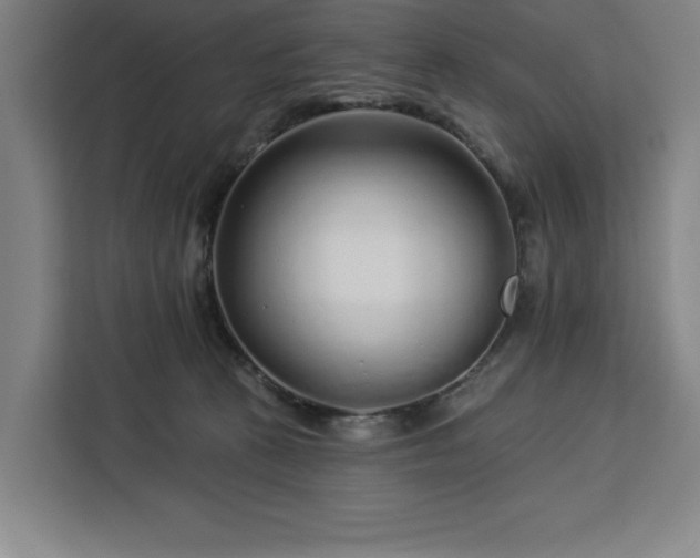 X0000112940273200908311455