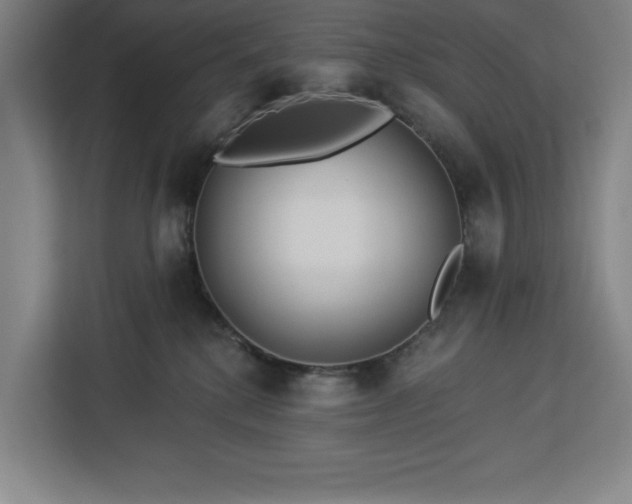 X0000112940280200908311455