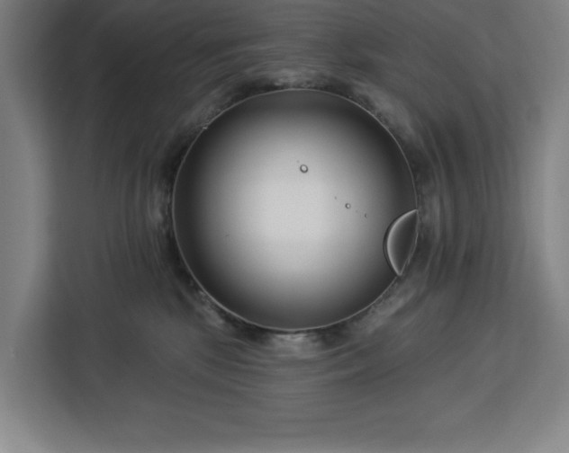 X0000112940281200908311455