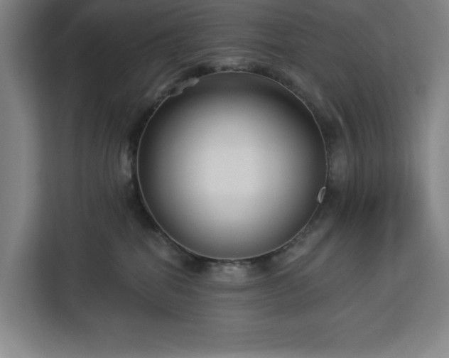 X0000112940282200908311455