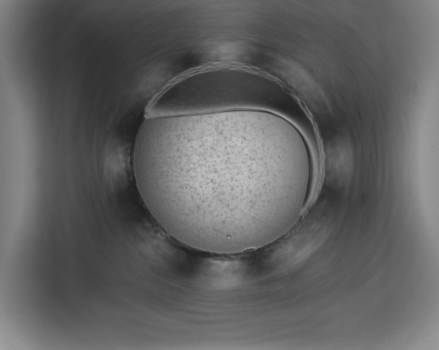 X0000112940284200908311455