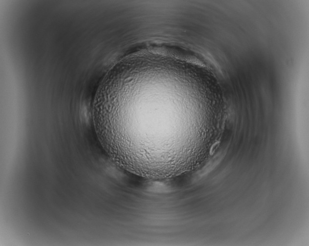 X0000112940285200908311455