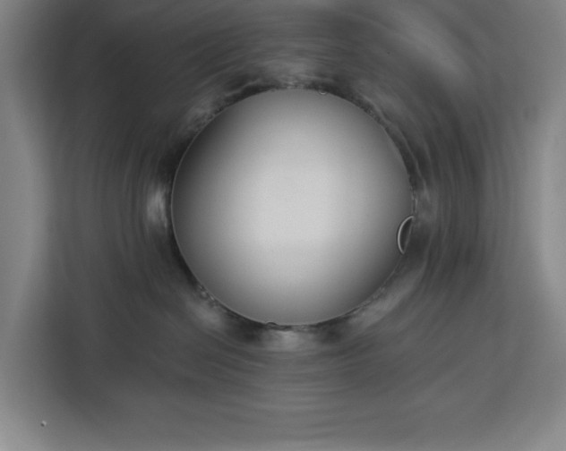 X0000112940286200908311455