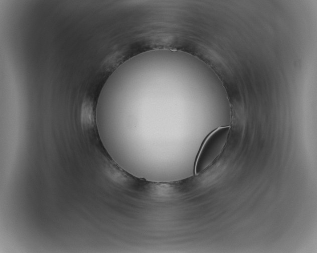 X0000112940287200908311455