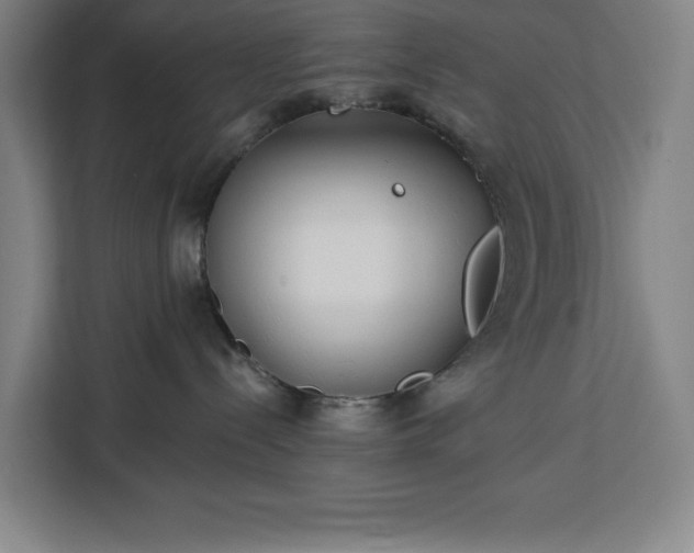 X0000112940288200908311455