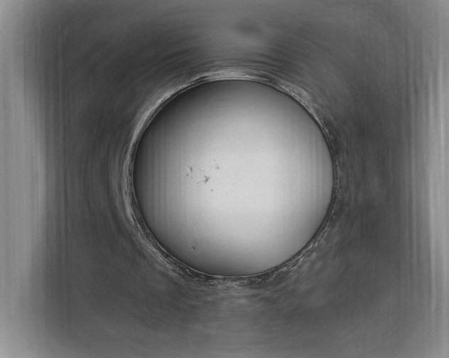 X0000112940289200908311455