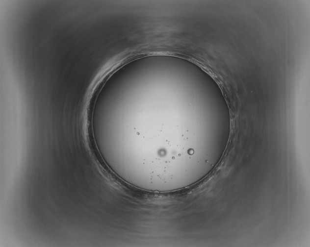 X0000112940293200908311454