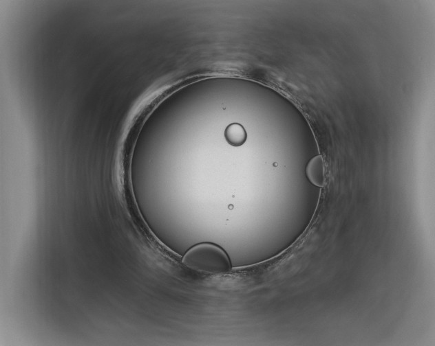 X0000112940294200908311454