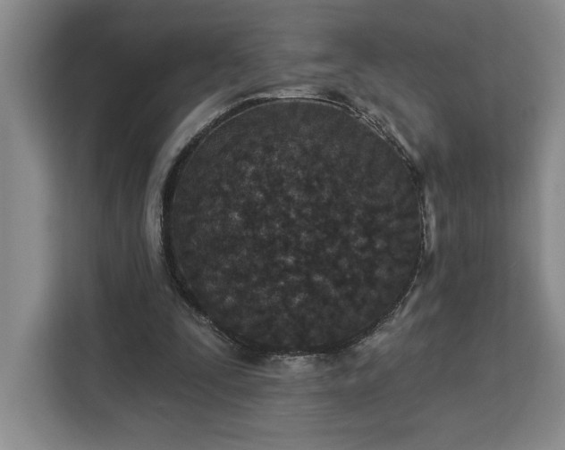 X0000112940295200908311454