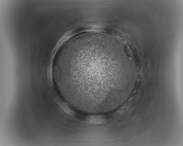 X0000112940296200908311454