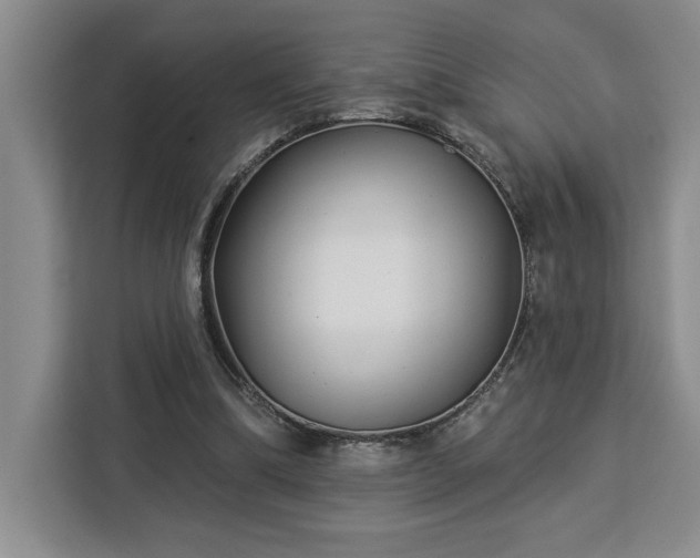 X0000112940298200908311454