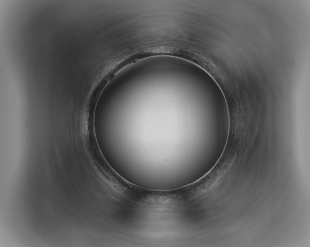 X0000112940299200908311454