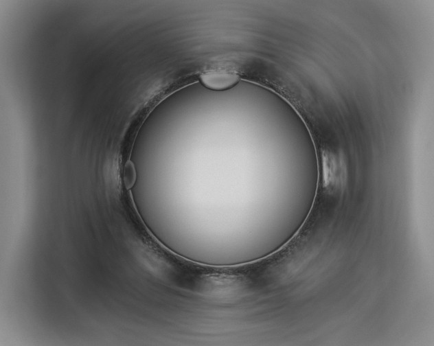 X0000112940300200908311454