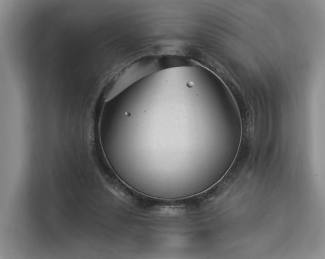 X0000112940303200908311454