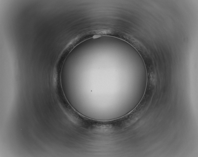 X0000112940304200908311454